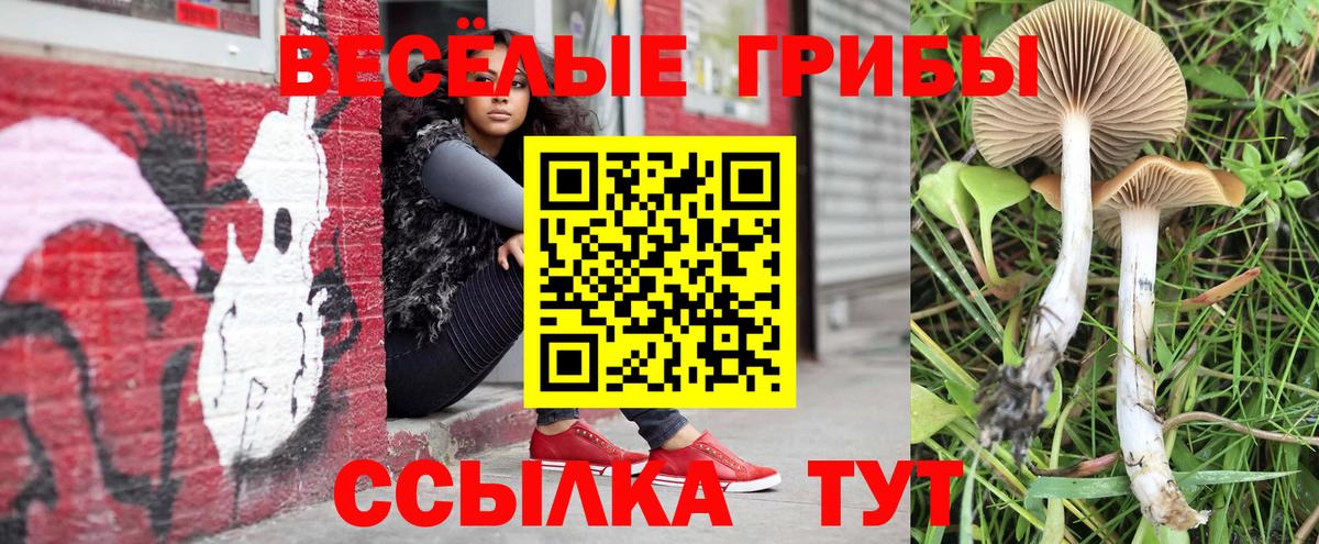 Галлюциногенные грибы GOLDEN TEACHER  Вход с VPN  Галлюциногенные грибы Cubensis  Советский 